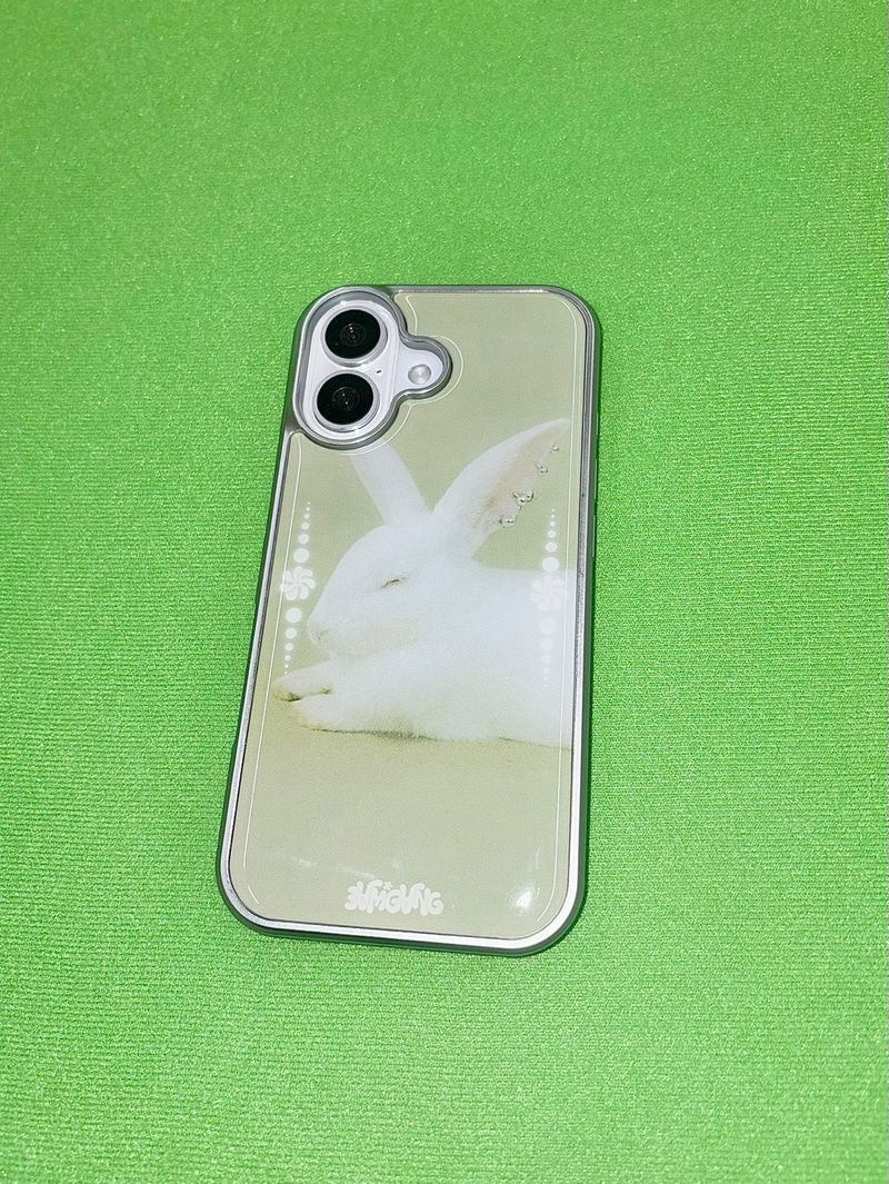 Furry Friends airpods case_Rabbit