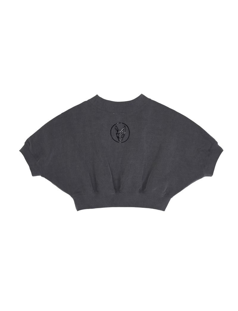 Sweatshirt Crop Top