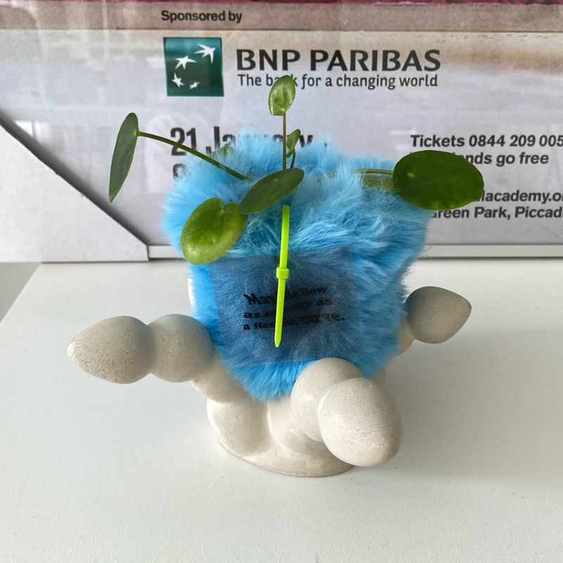 FLUFFY POT (XS