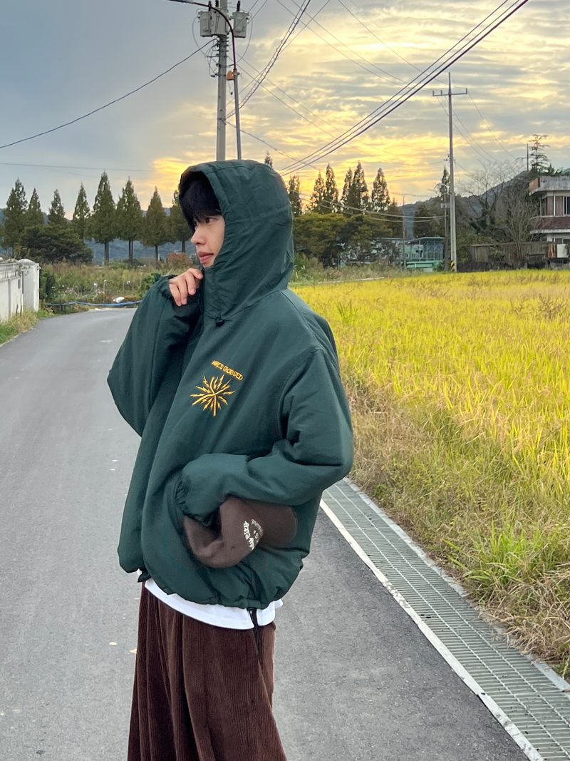 Current Hooded Padding Jacket (3 colors)