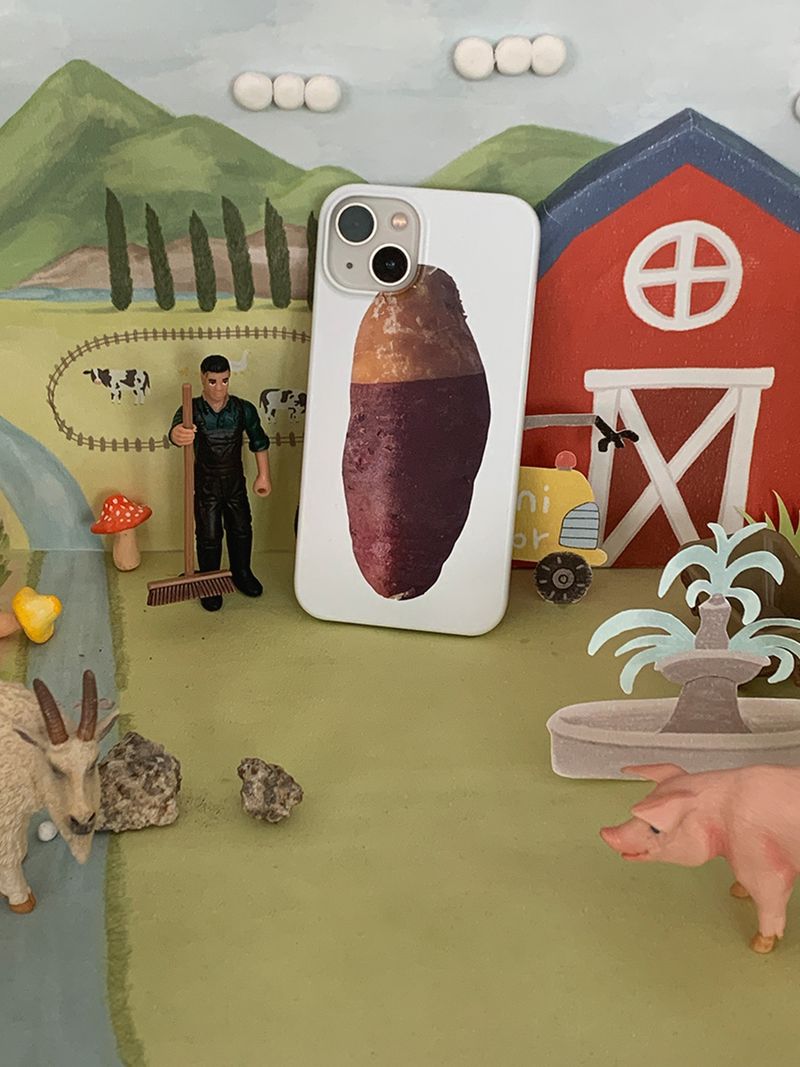 Sweet potato case - Matt hard