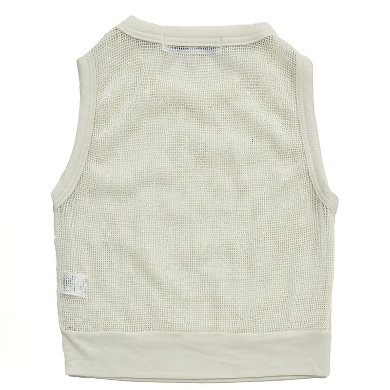 see through spangle mesh sleeveless_iv