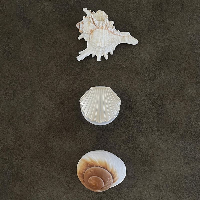 shell mirror tok (magnet) - 2colors