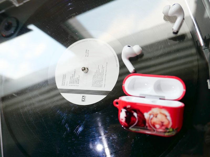 Furry Friends airpods case_Guineapig