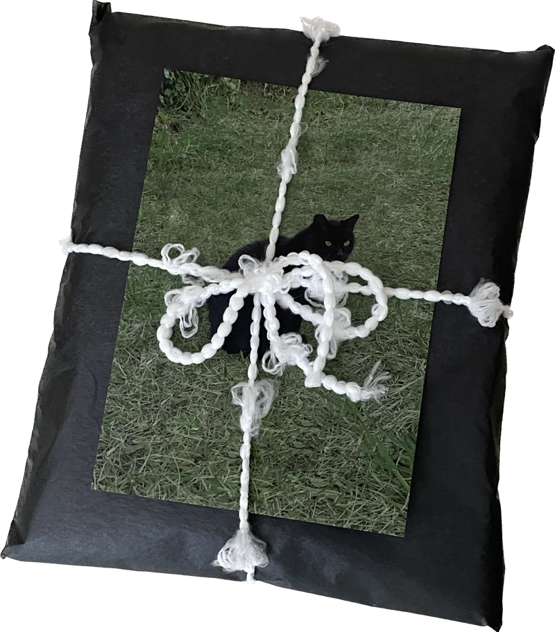 BLACK CAT FUR FRAME