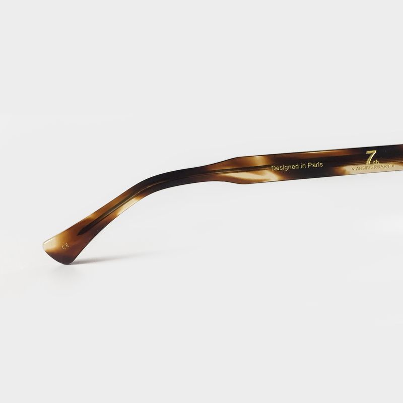 Geek Chic Acetate Glasses CLIC,CLAC RODIN 04