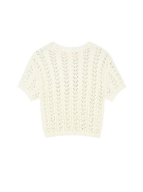 Sheer Crop Knit Top (IVORY)