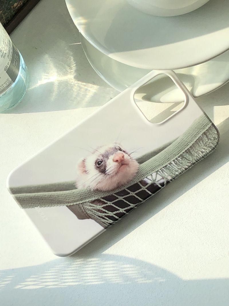 [my fluffy ferret in hammock hard case]