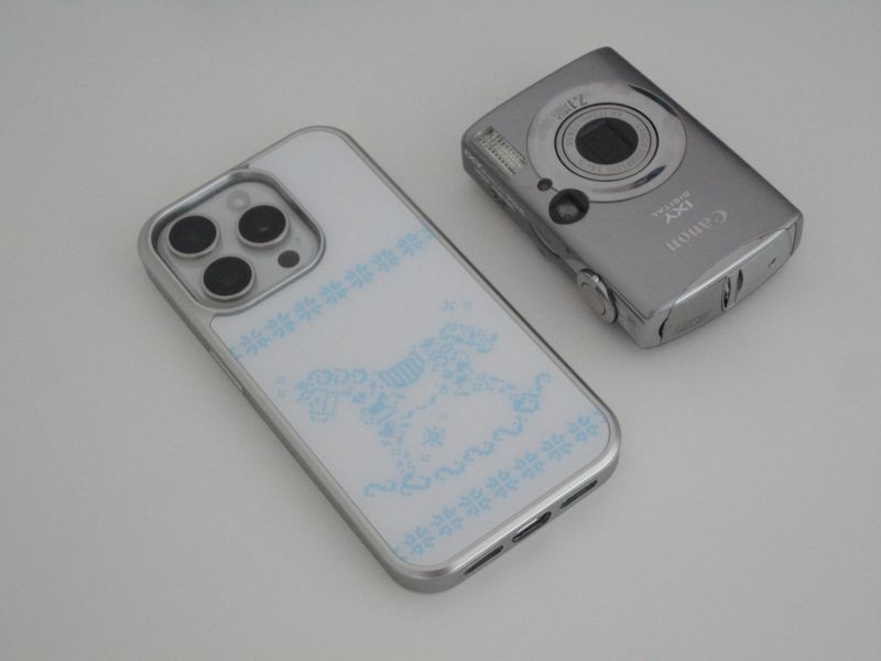 blue horse case (silver glass)
