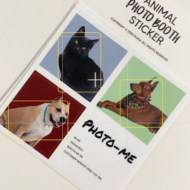 Animal photo sticker