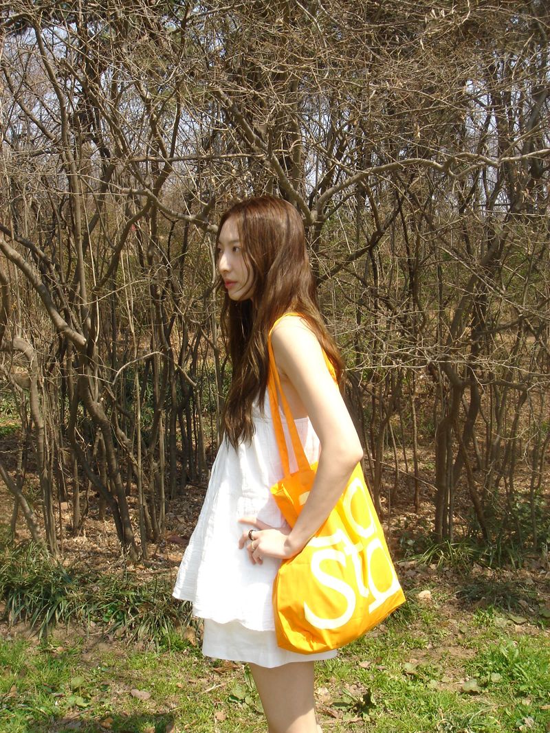 Palette Eco Bag (15colors)