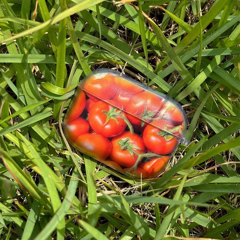 Airpods : fresh tomato