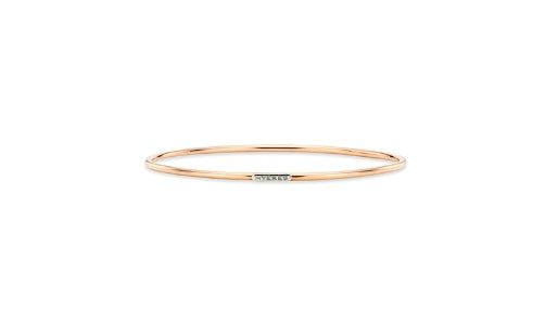 26SS★ [Premium Plating] H Edition AB(P) Single Slip Bangle