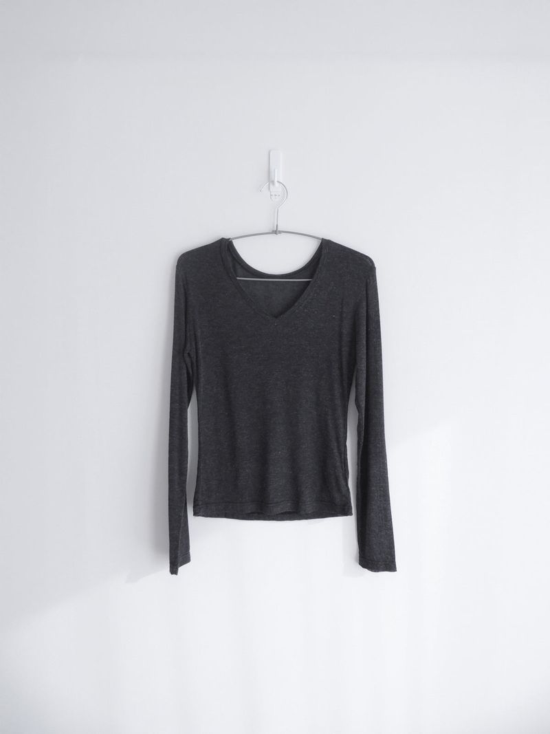 sheer v-neck tee (4c)