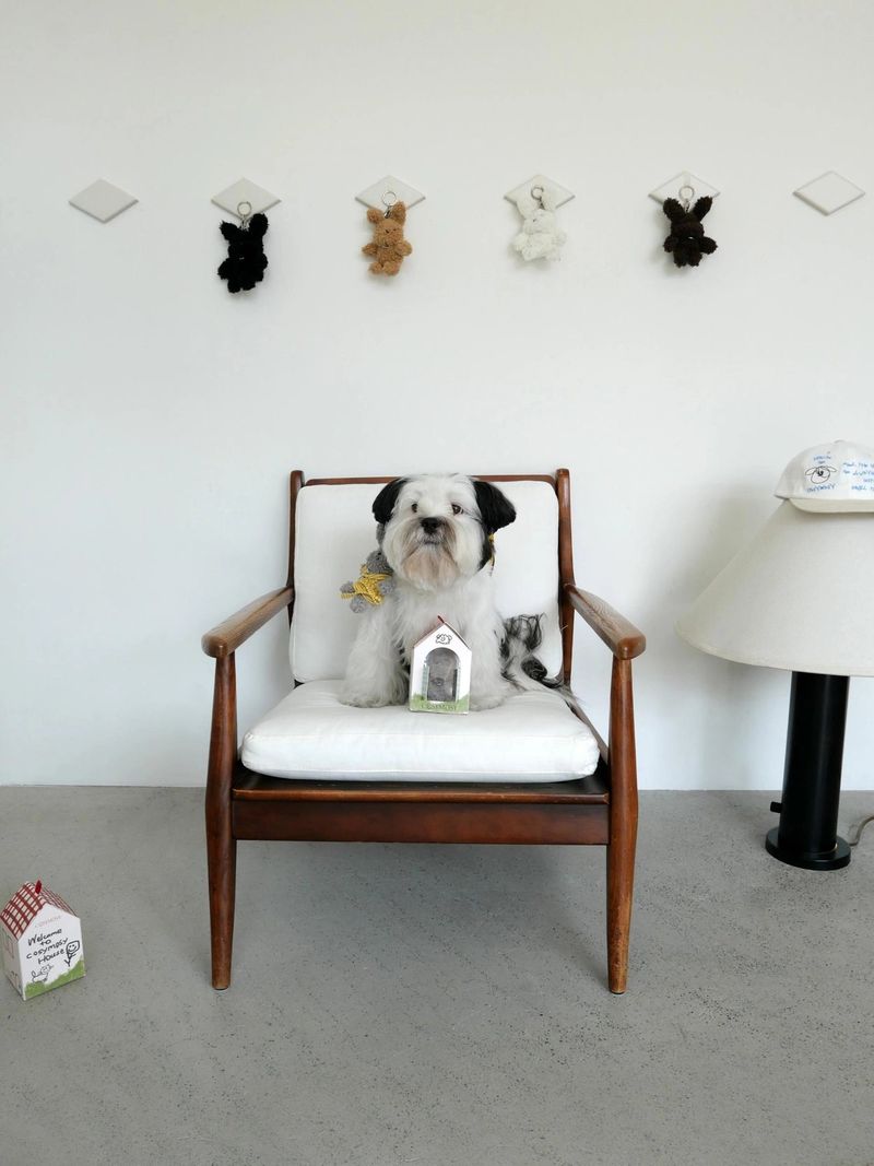 Cosymosy Poodle Keyring - 5 Color