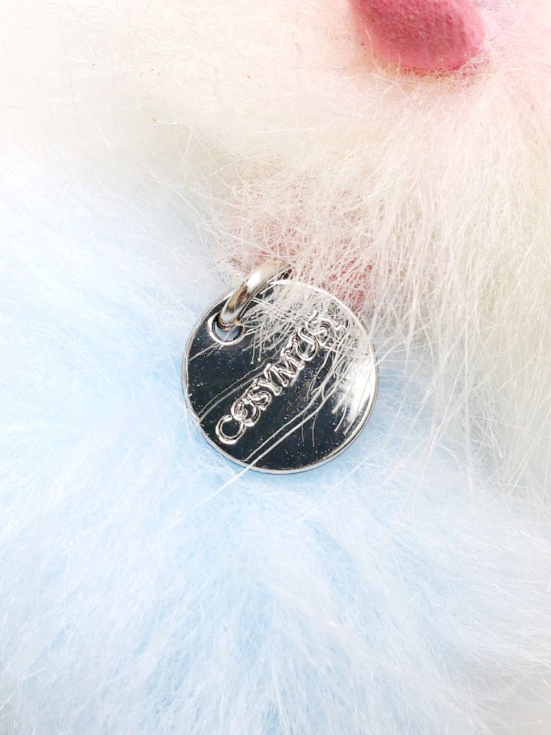 Cosymosy Mini Bird Keyring - Rainbow