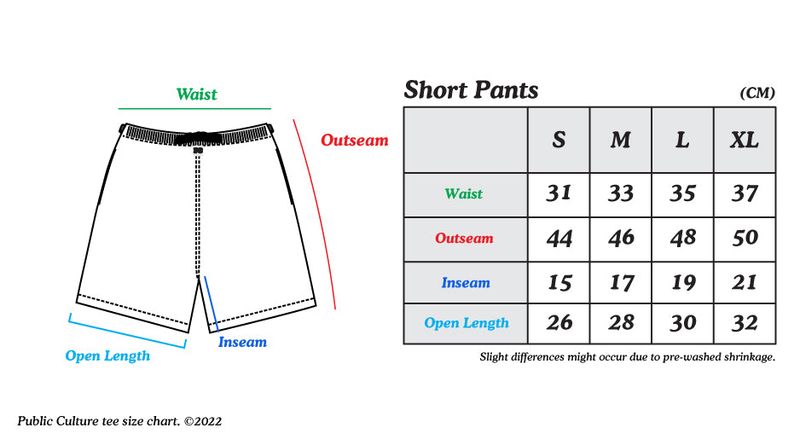 Stone Nylon Shorts - Green