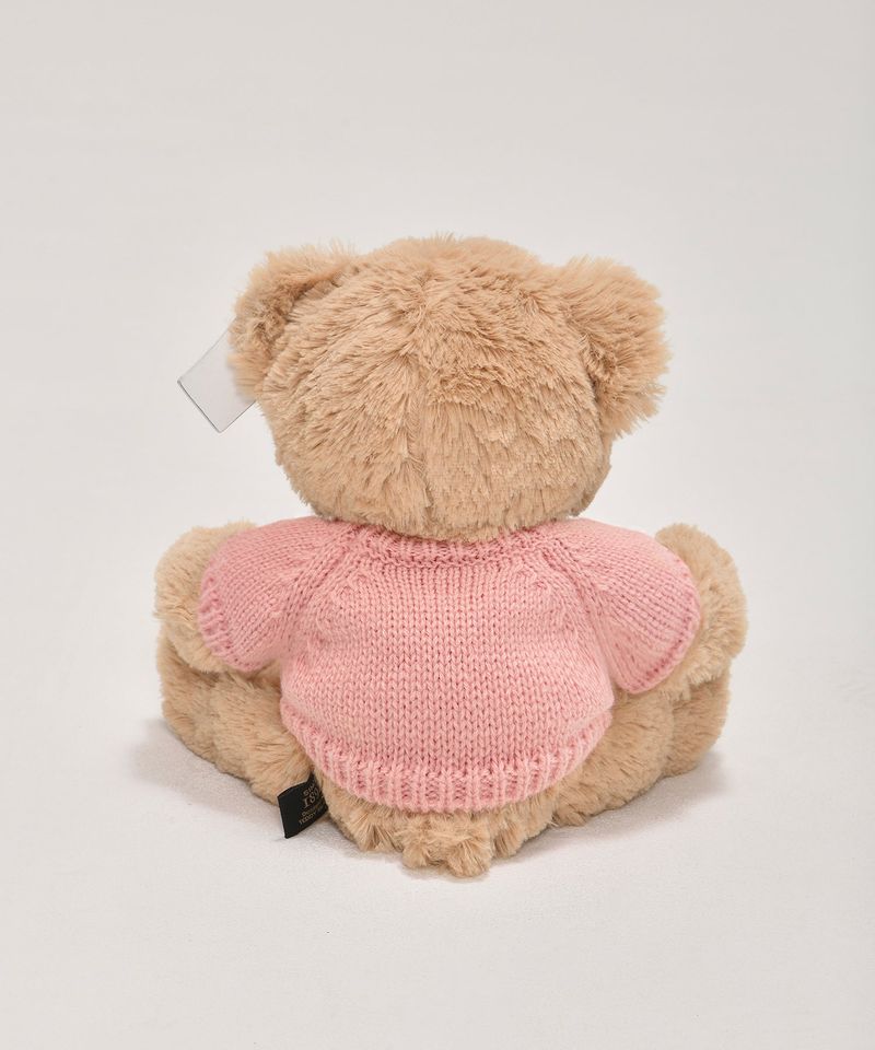 Message Teddybear [PINK]
