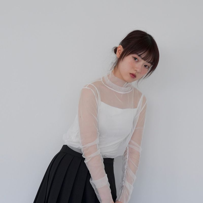 sheer mesh turtleneck