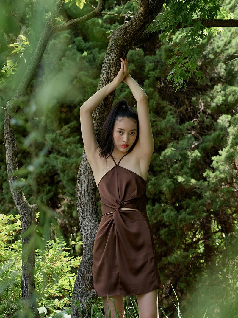 Sweetpea dress (Brown)