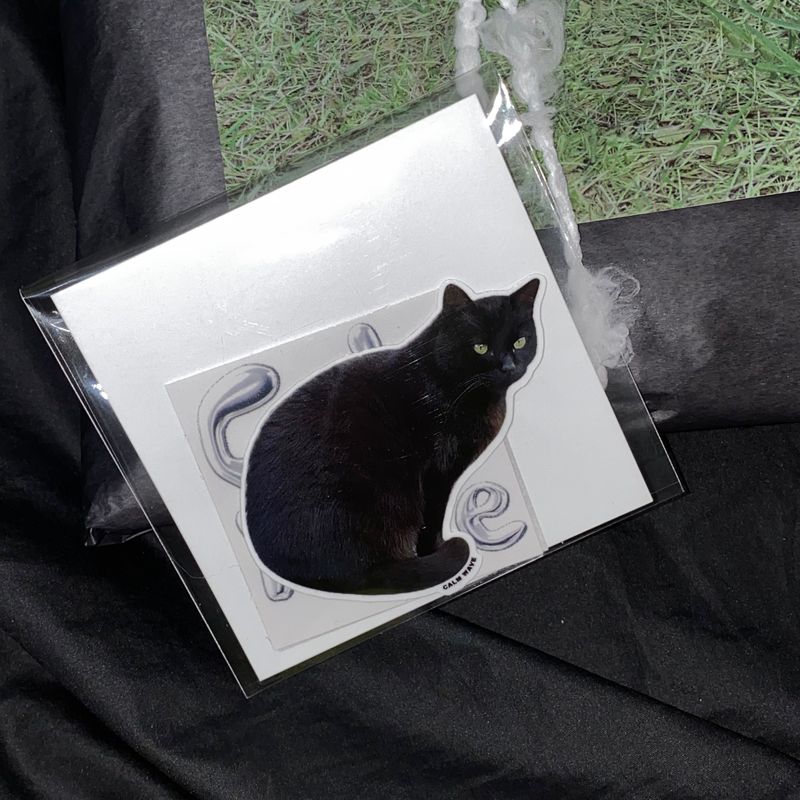 BLACK CAT FUR FRAME