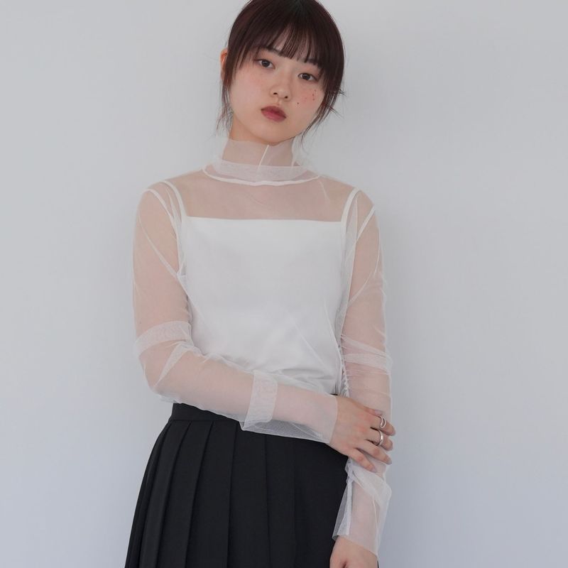 sheer mesh turtleneck