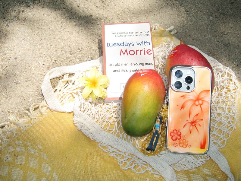 【TPUケース】 Orange Hawii Case