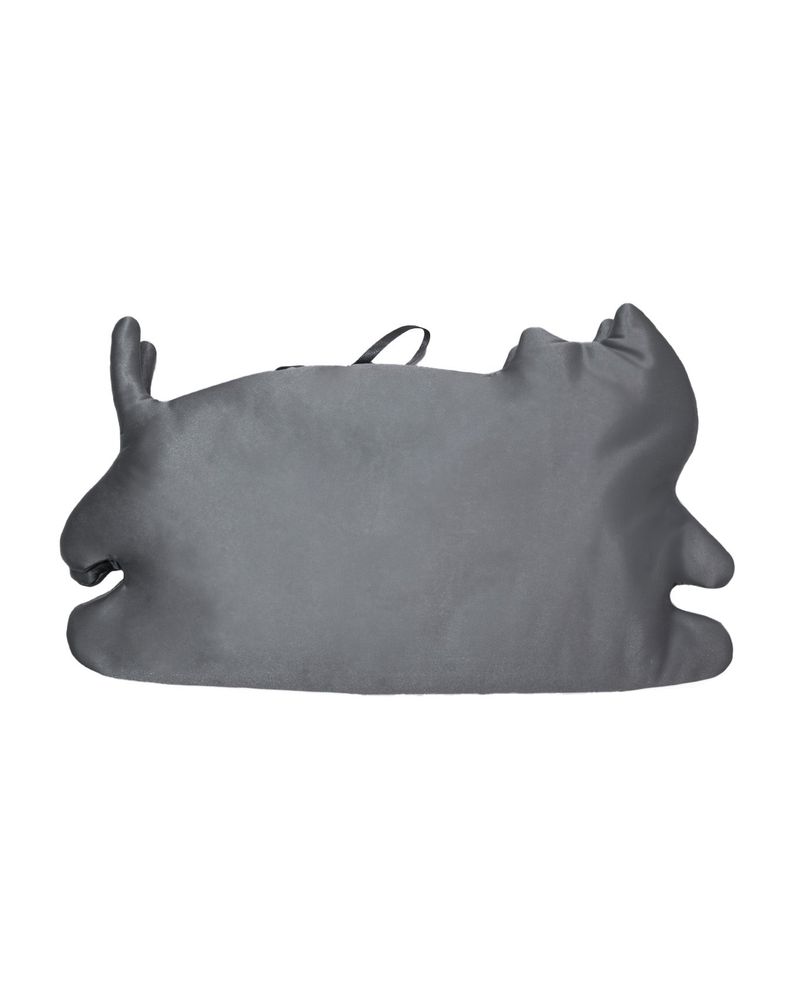 Cat book cover _ dust