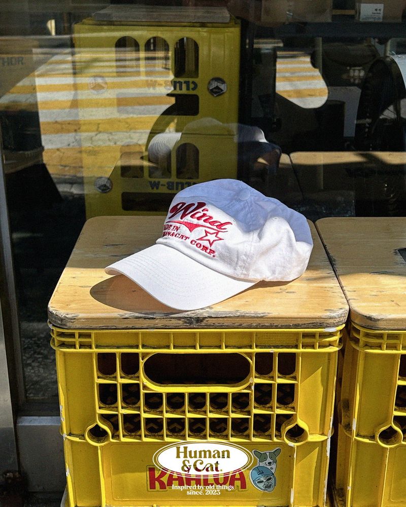 WIND WASHED COTTON BALL CAP / WHITE
