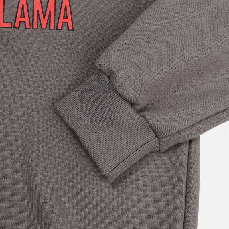Couple Lama Character Sweatshirt 3COLOR