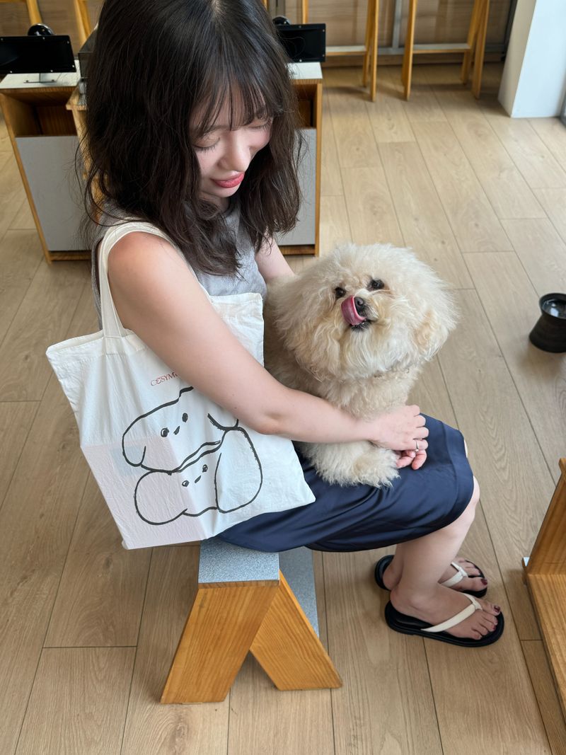Fabric Shopping Bag - 2 Type