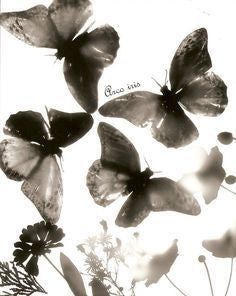 Mariposa necklace