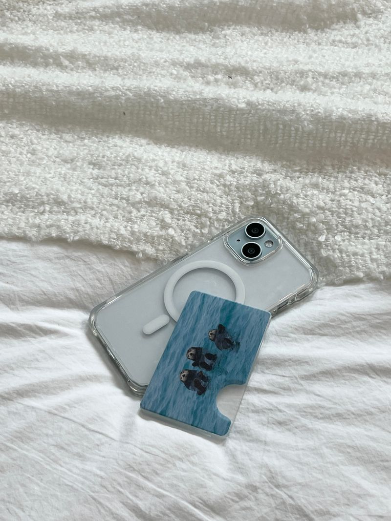 [sea otter triplets magsafe cardslot]