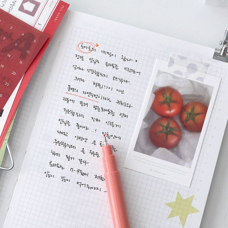 Plot mostly diary