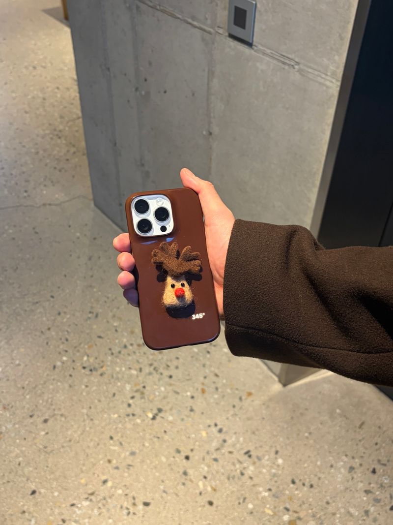 Rudolph Felt Hard Case / TREEFORFIVE345