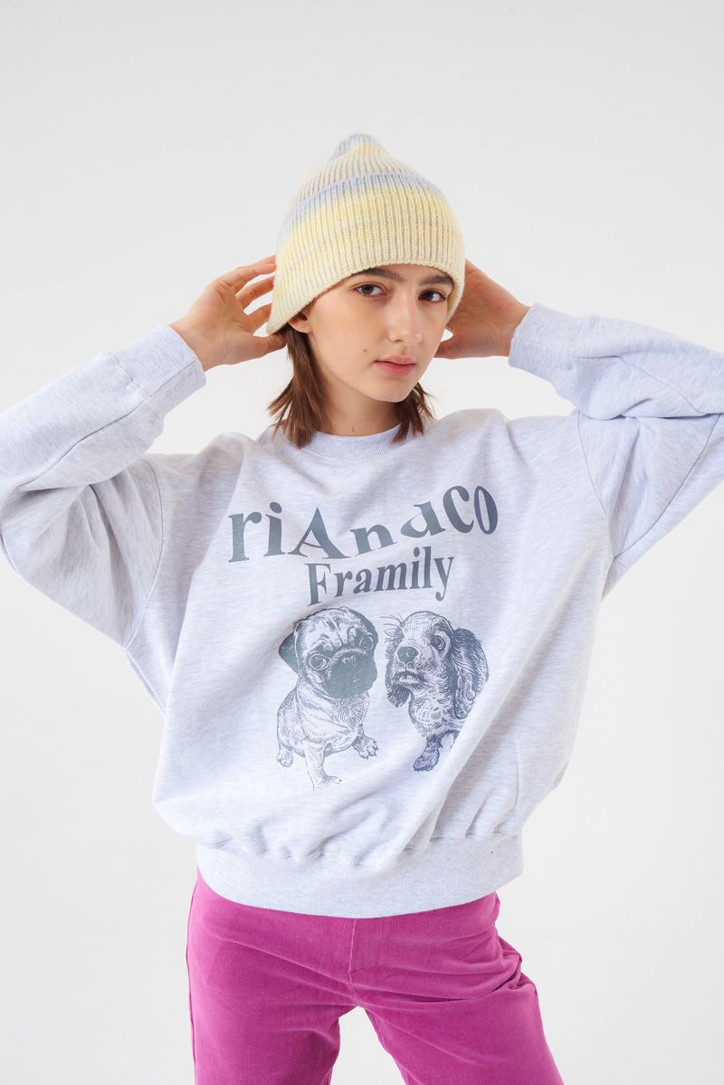 Framily Sweatshirts Light melange