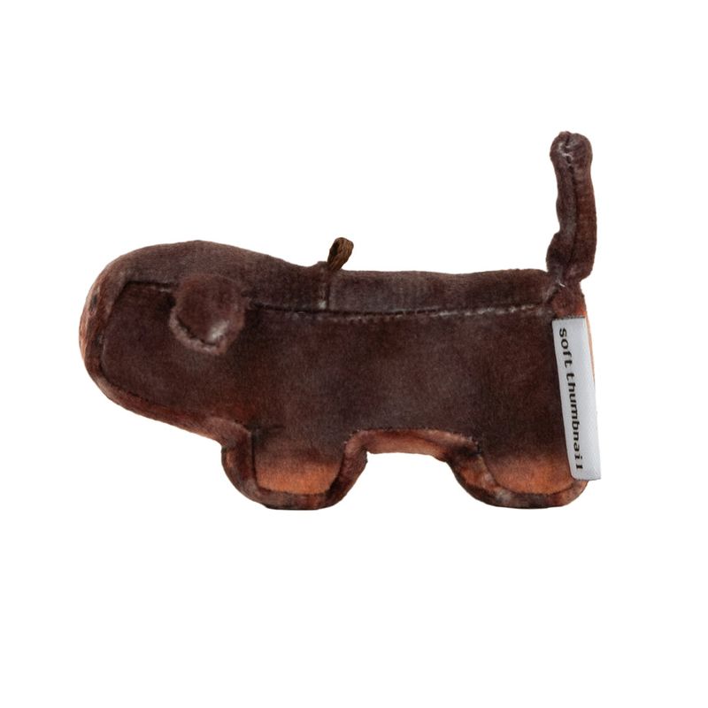 Tam, Dachshund
