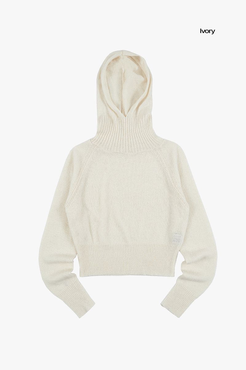 Dia wool raglan hooded knit