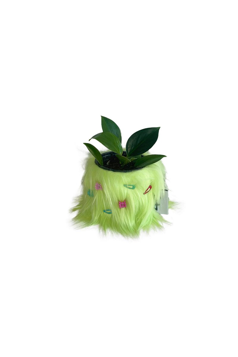 46month（フォーティーシックスマンス）の「FURRY POT COVER (GREEN) + FURRY PIN SET（Interior）」