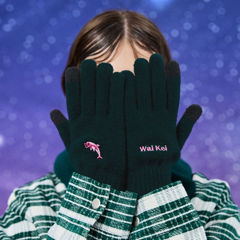 Dolphin smart touch gloves