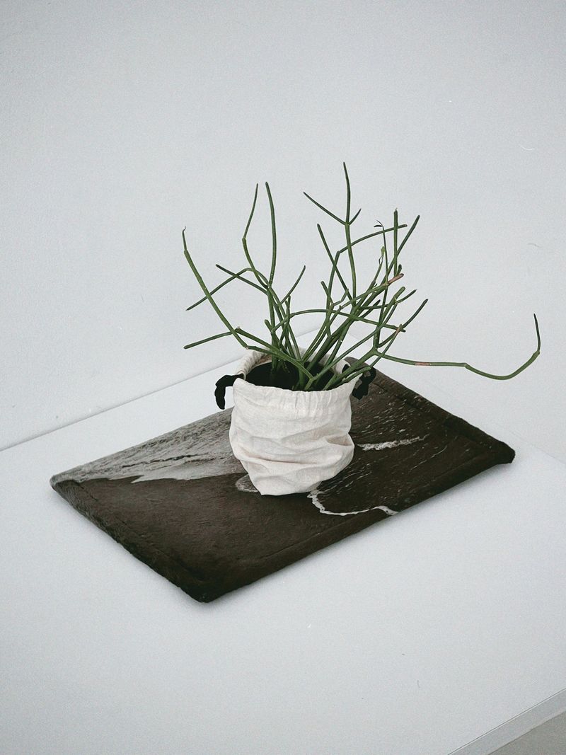 nature desk rug - mono seaside