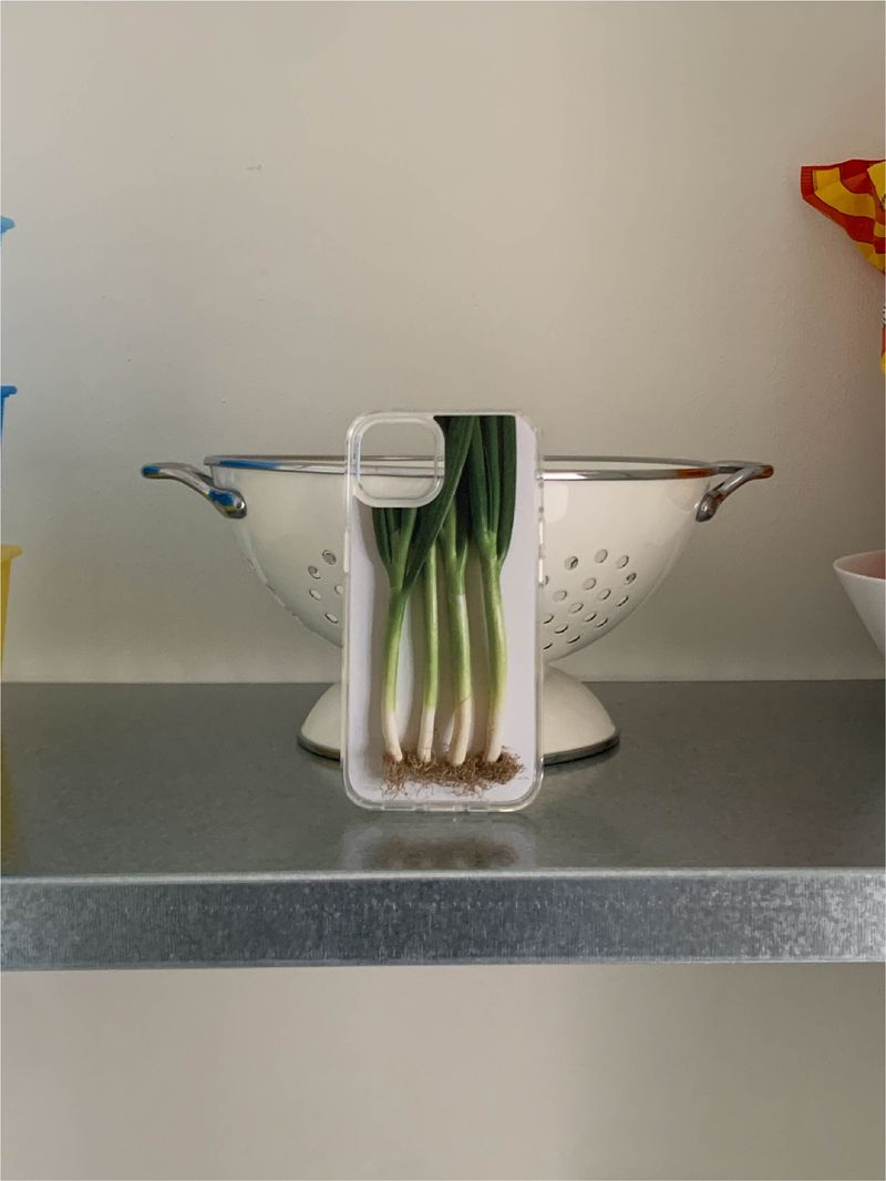 Leek case - jelly hard