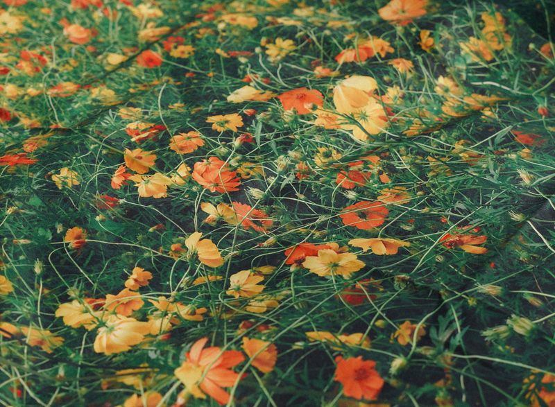 wild flower picnic mat