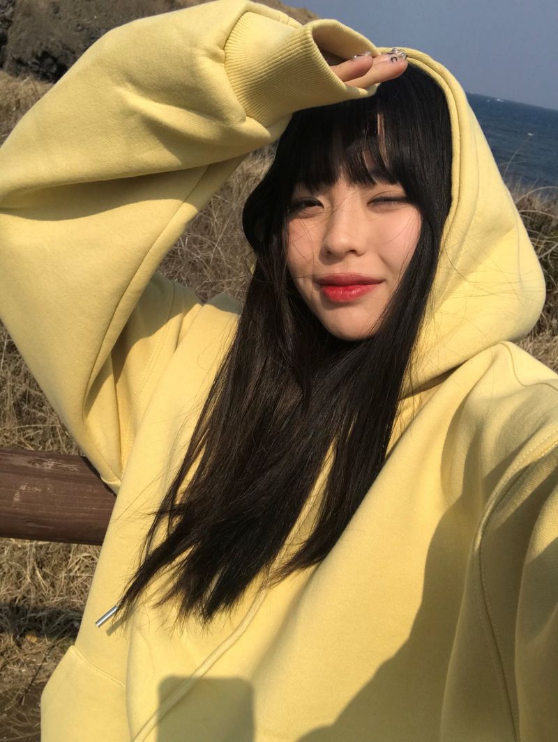 Pale hood T