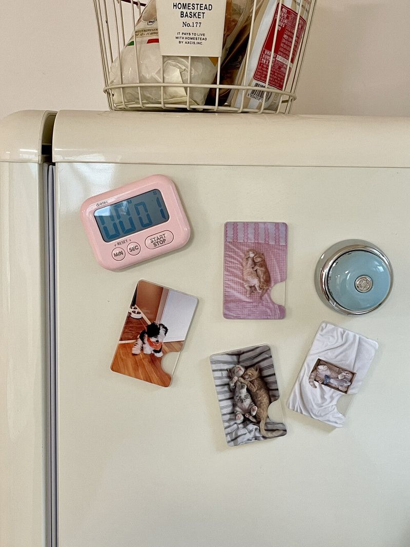 [snuggly buddies stripe magsafe cardslot]