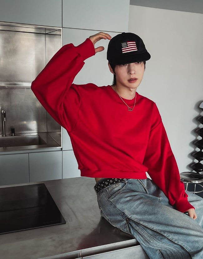Plain Color Crop Sweatshirt