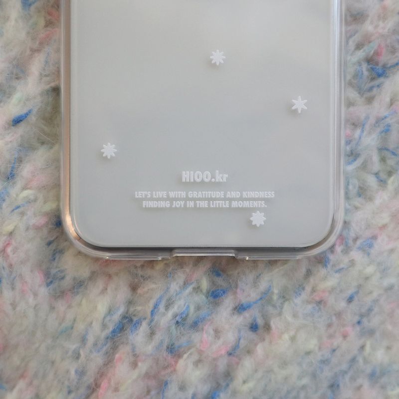 snowy case.