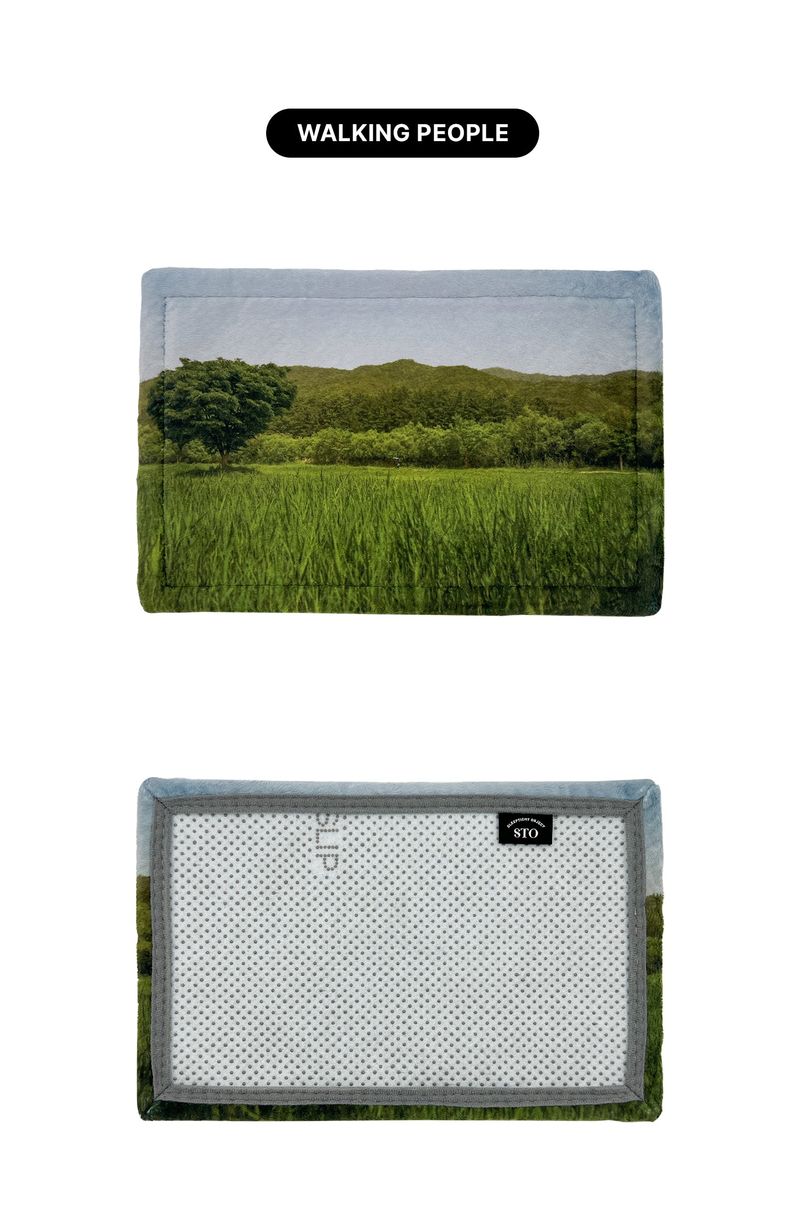 nature desk rug - blue pado