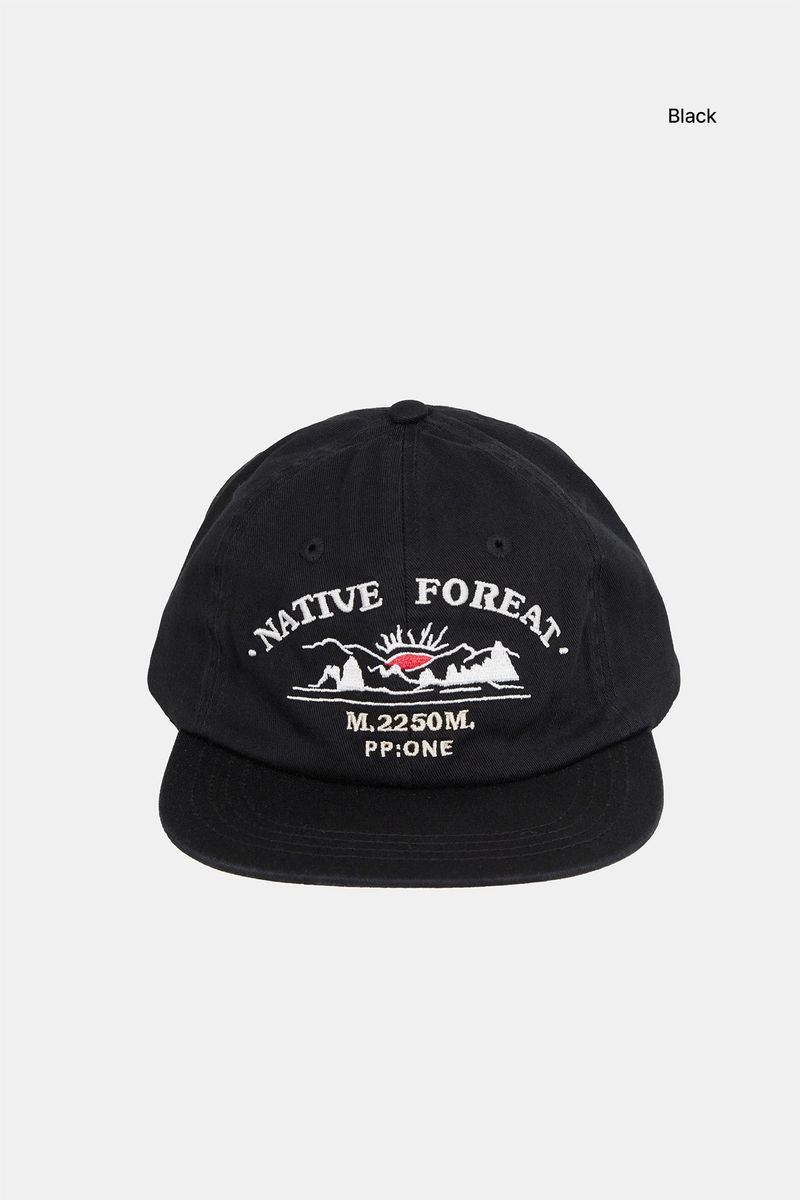Native embroidery ball cap