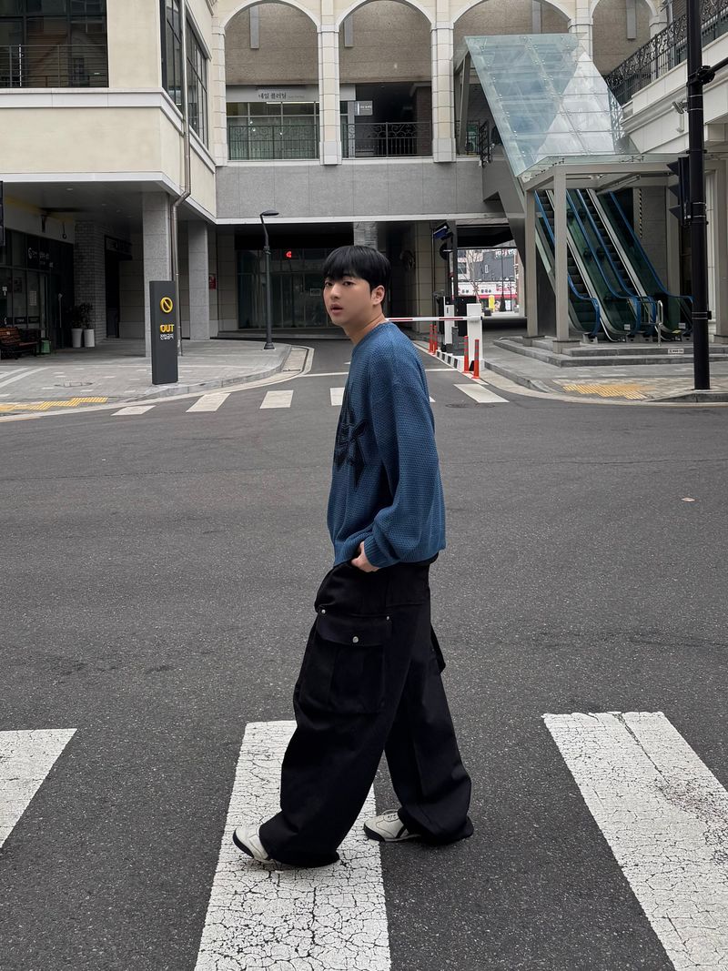 dart cotton cargo pants